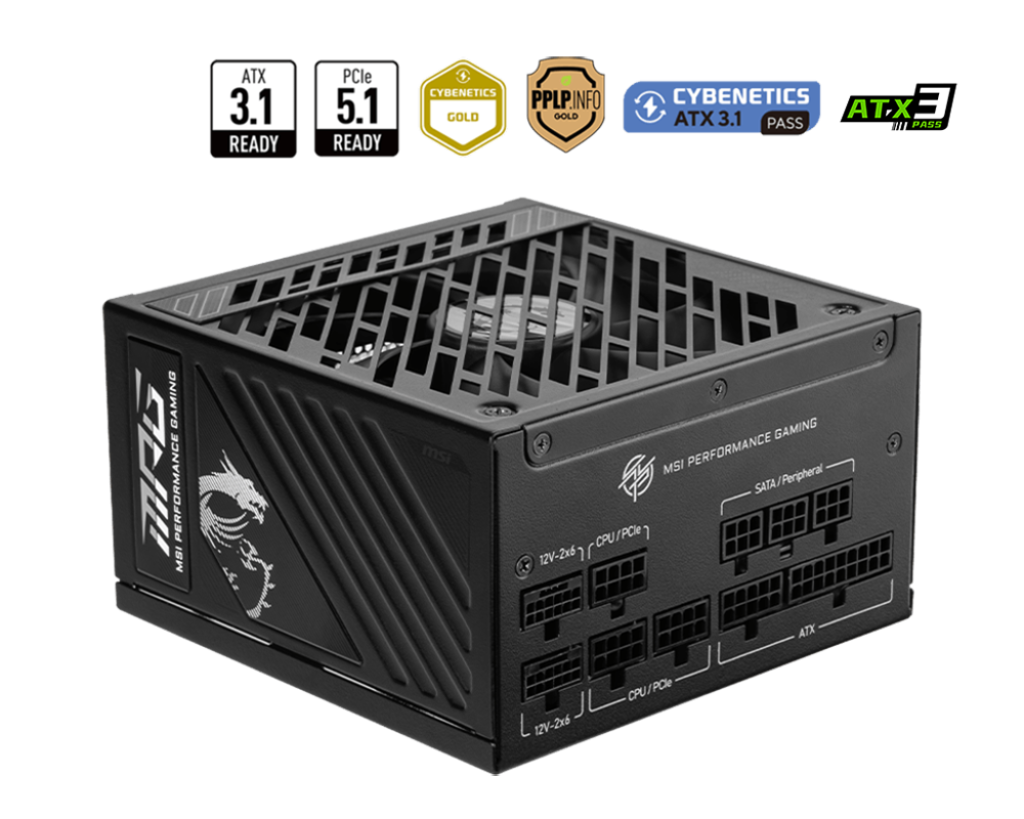 Bloc d'alimentation MPG A1000GS PCIE5